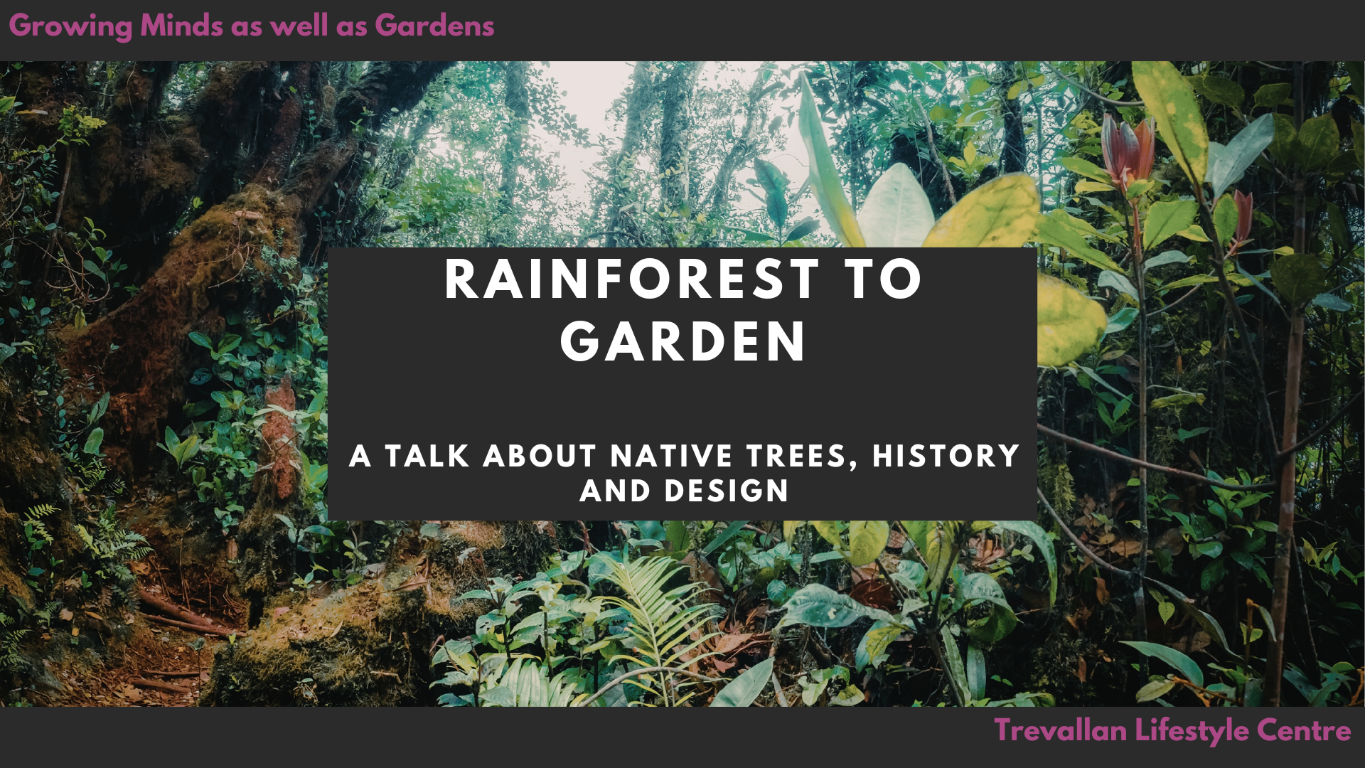 From Rainforest To Garden 