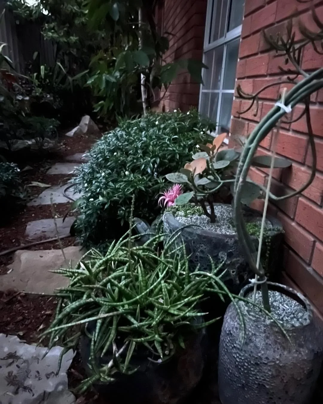 Today felt like it was about 256 hours long.

Rainy, windy, cold, then hot and humid&hellip; all in the same breath.
Nothing quite landed. My brain felt a bit haphazard, like I couldn&rsquo;t find a rhythm to sit in.

And then this afternoon, I stopp