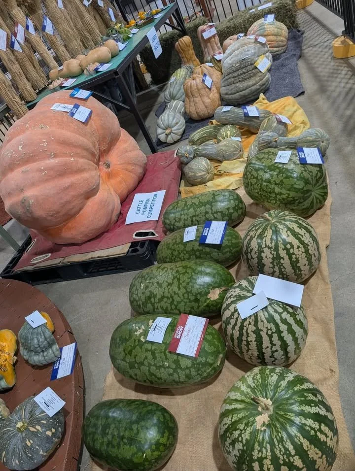 Produce2.jpg