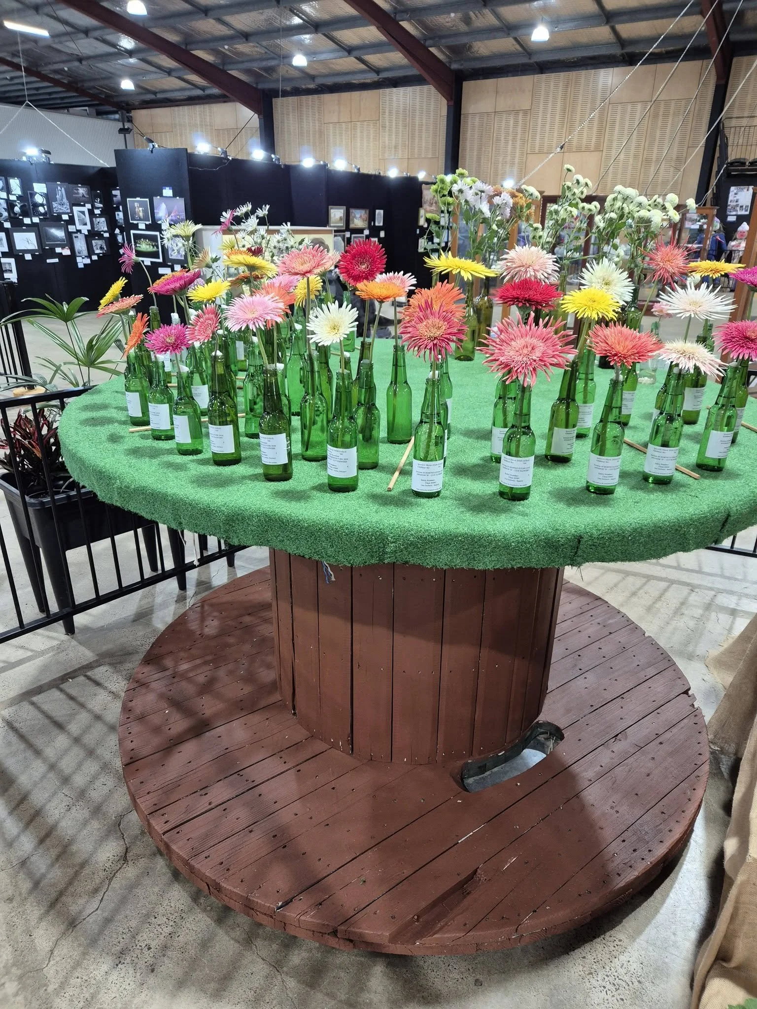 Cut flowers.jpg
