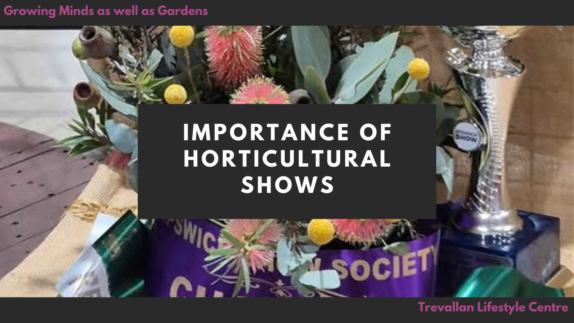 Importance of Horticultural Shows