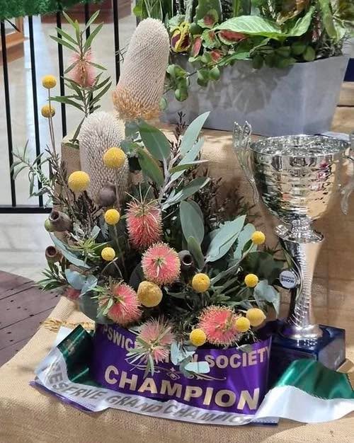 For over 150 years, people in Ipswich have been competitively growing and exhibiting plants through the Ipswich Show horticultural section.

And honestly, I think sometimes we forget just how important these agricultural shows really are.

They were 