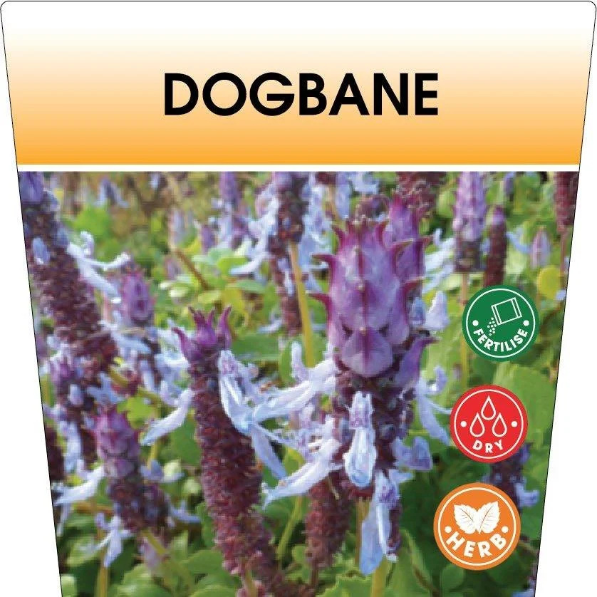 Herbs are not always about what we can eat.

Some plants have an important role in the garden even if they never end up in a teacup or on a dinner plate. It goes against the modern mindset of &ldquo;if I can&rsquo;t eat it, I&rsquo;m not growing it.&
