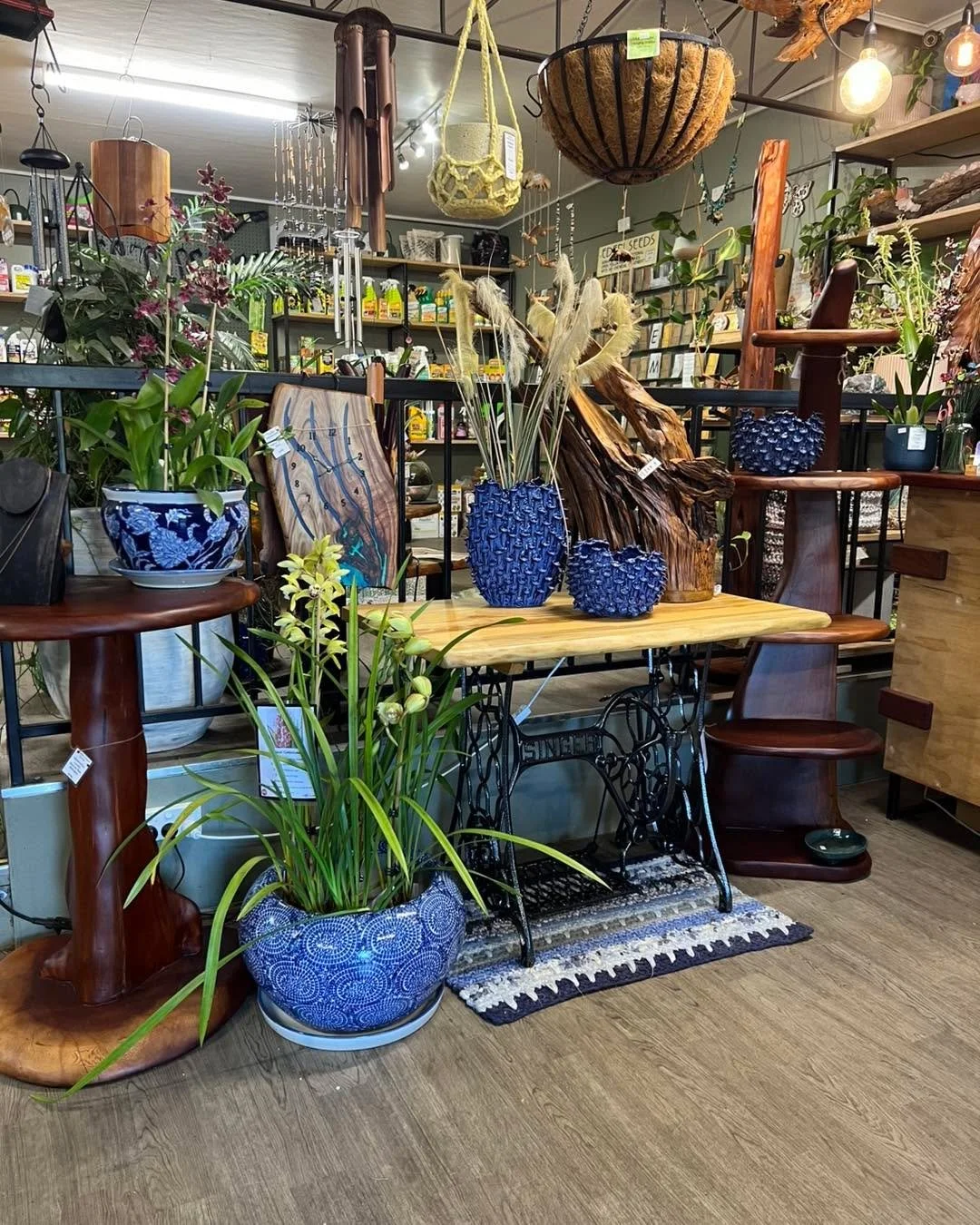 Orchids, Blue and Timber 

Seriously it&rsquo;s so easy to redesign with these three things &hellip; showroom is a mess but this corner 

Picture Perfect!