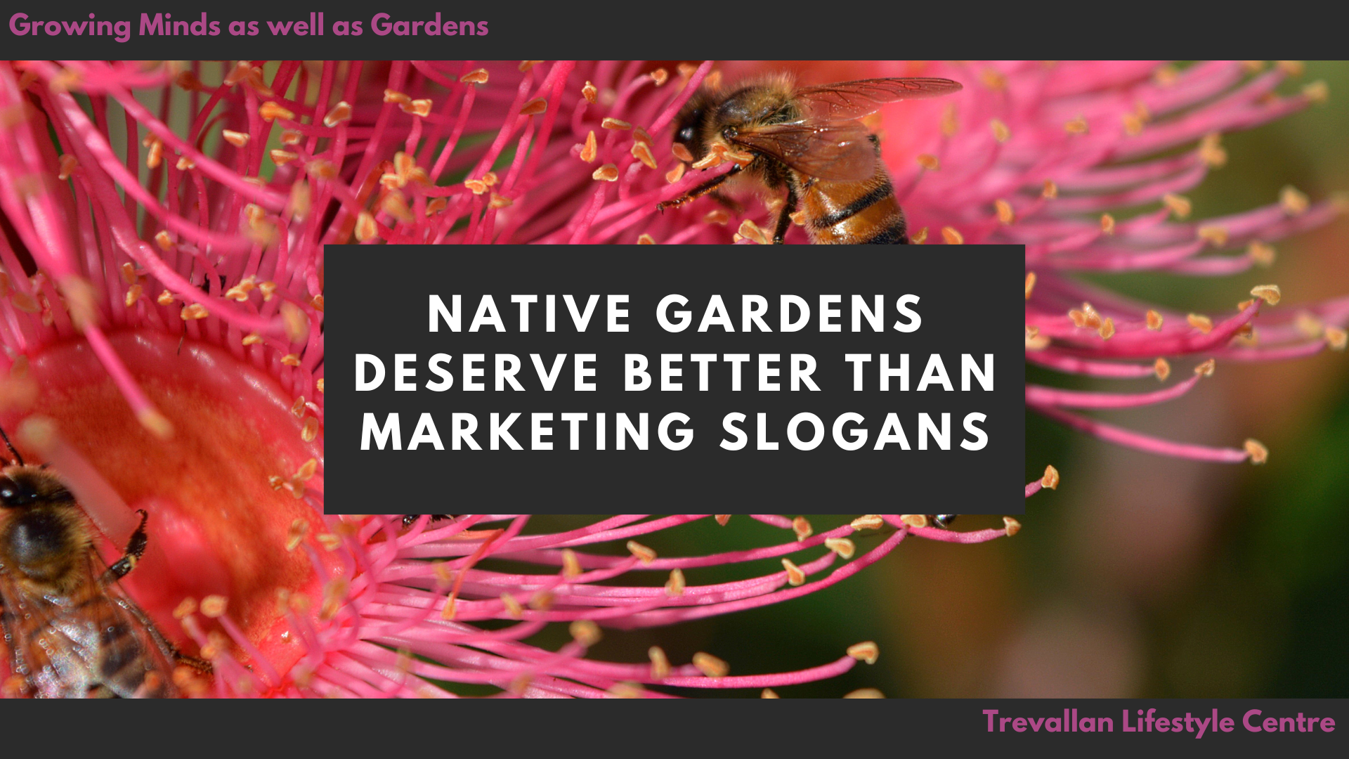 The Native Garden Question