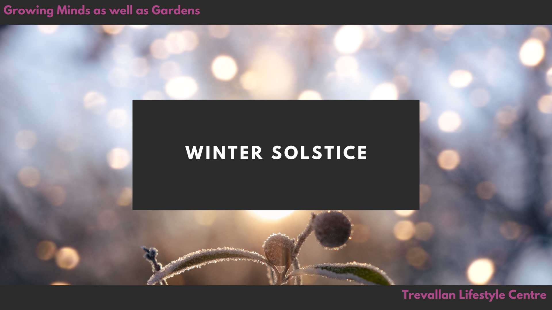 Winter Solstice 2026