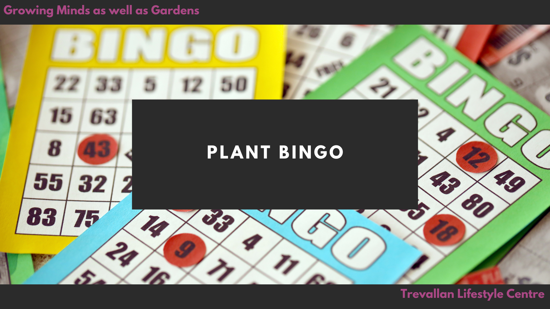 Planty Bingo