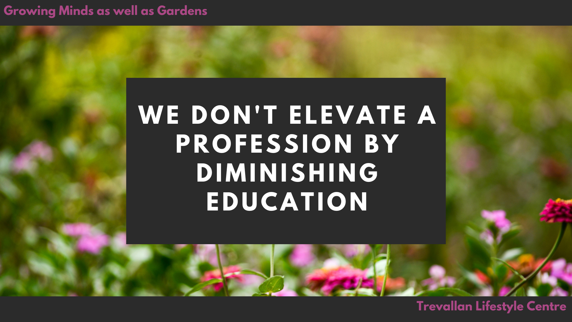 We Don't Elevate a Profession by Diminishing Education