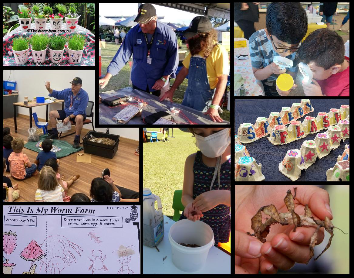 03_workshop_activity_collage.png