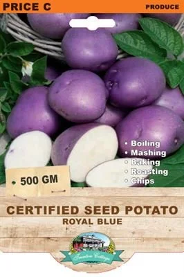 0003717_certified-seed-potato-royal-blue_400.jpeg
