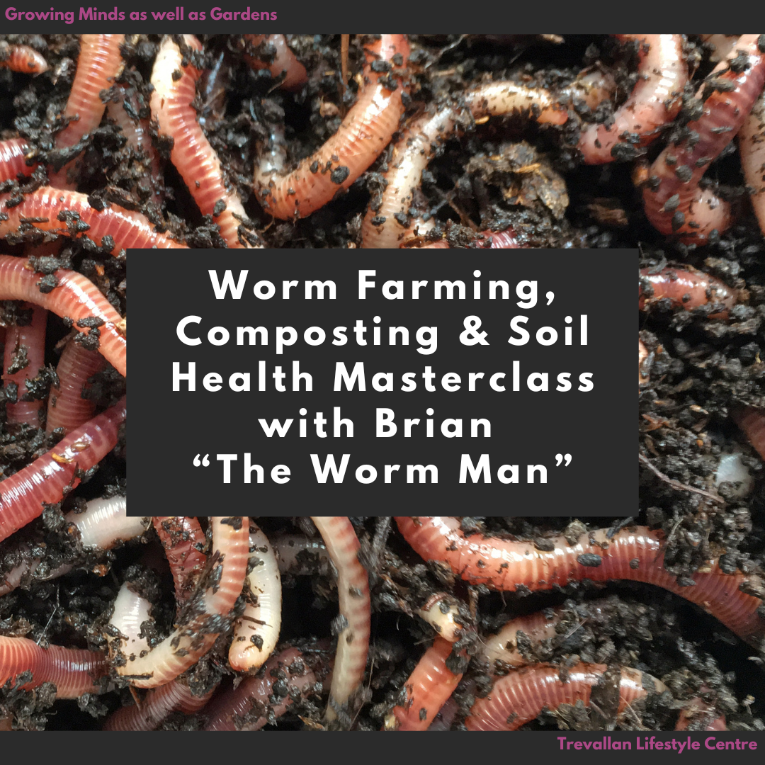 worm.png