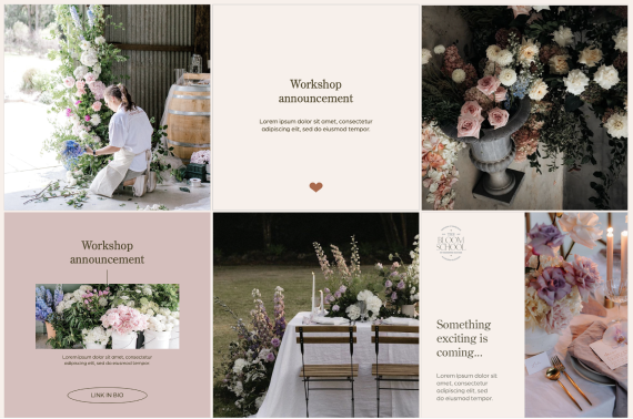 branding+graphic-design_project_sunshine-coast_queensland-australia