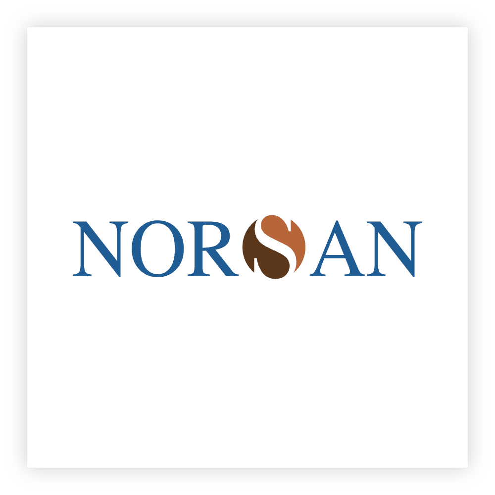 Norsan powerpoint.png