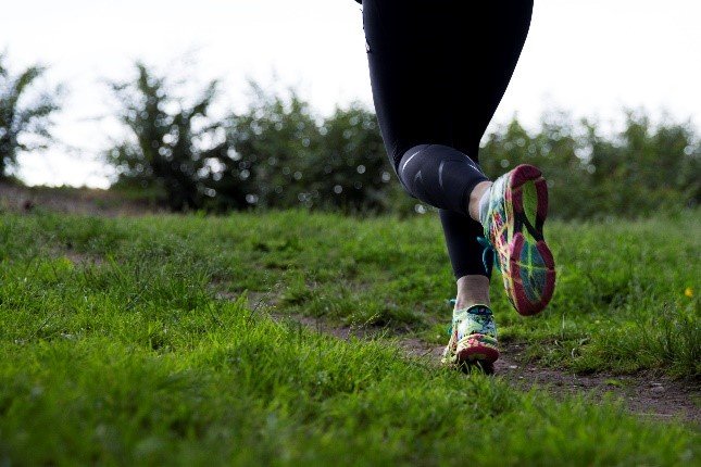 Det er nesten for godt til å være sant!