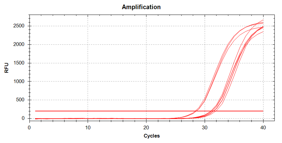 THP-1 Macrophage Polarization Protocol