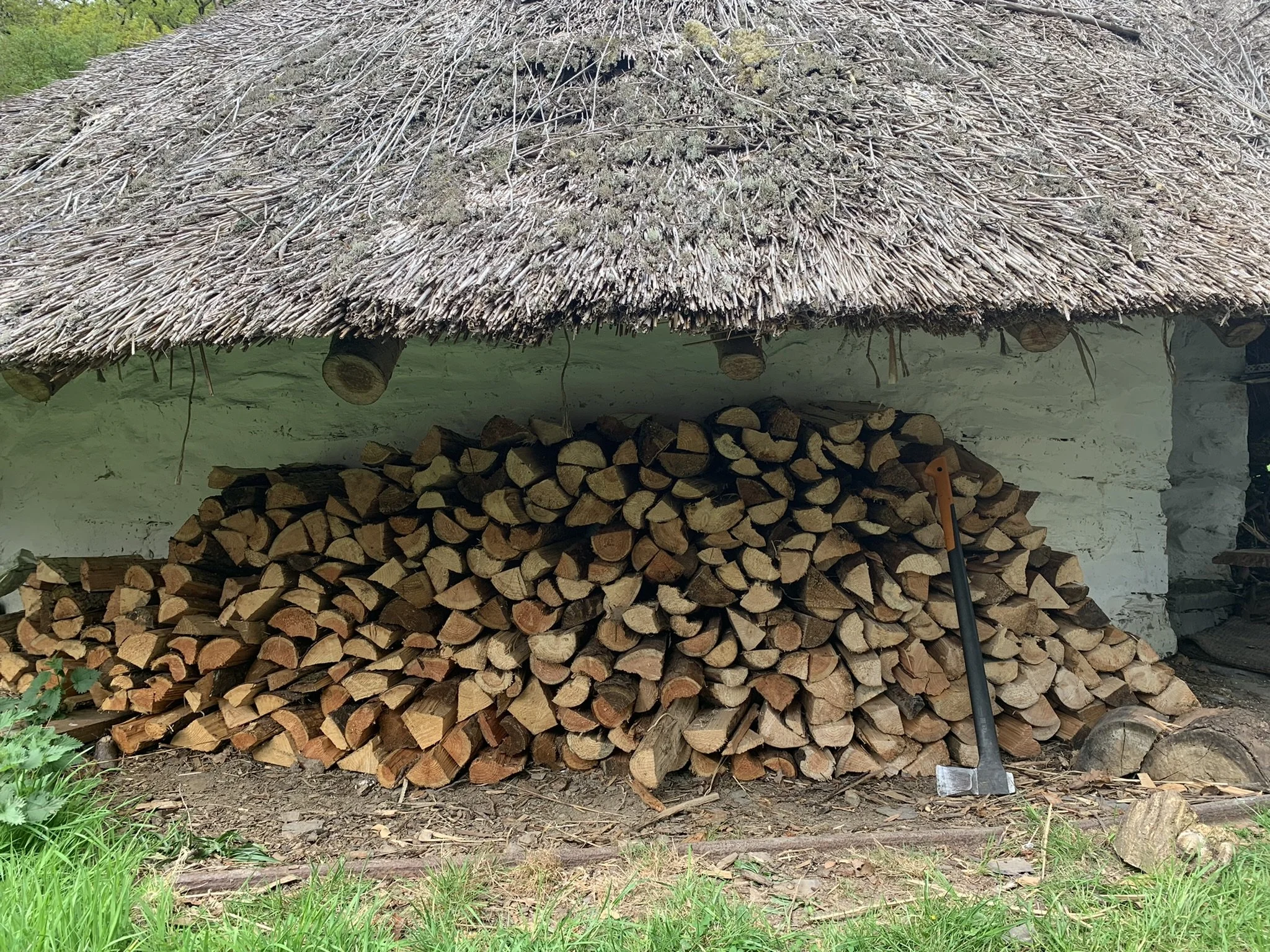 Copy of IMG_5916.JPEG