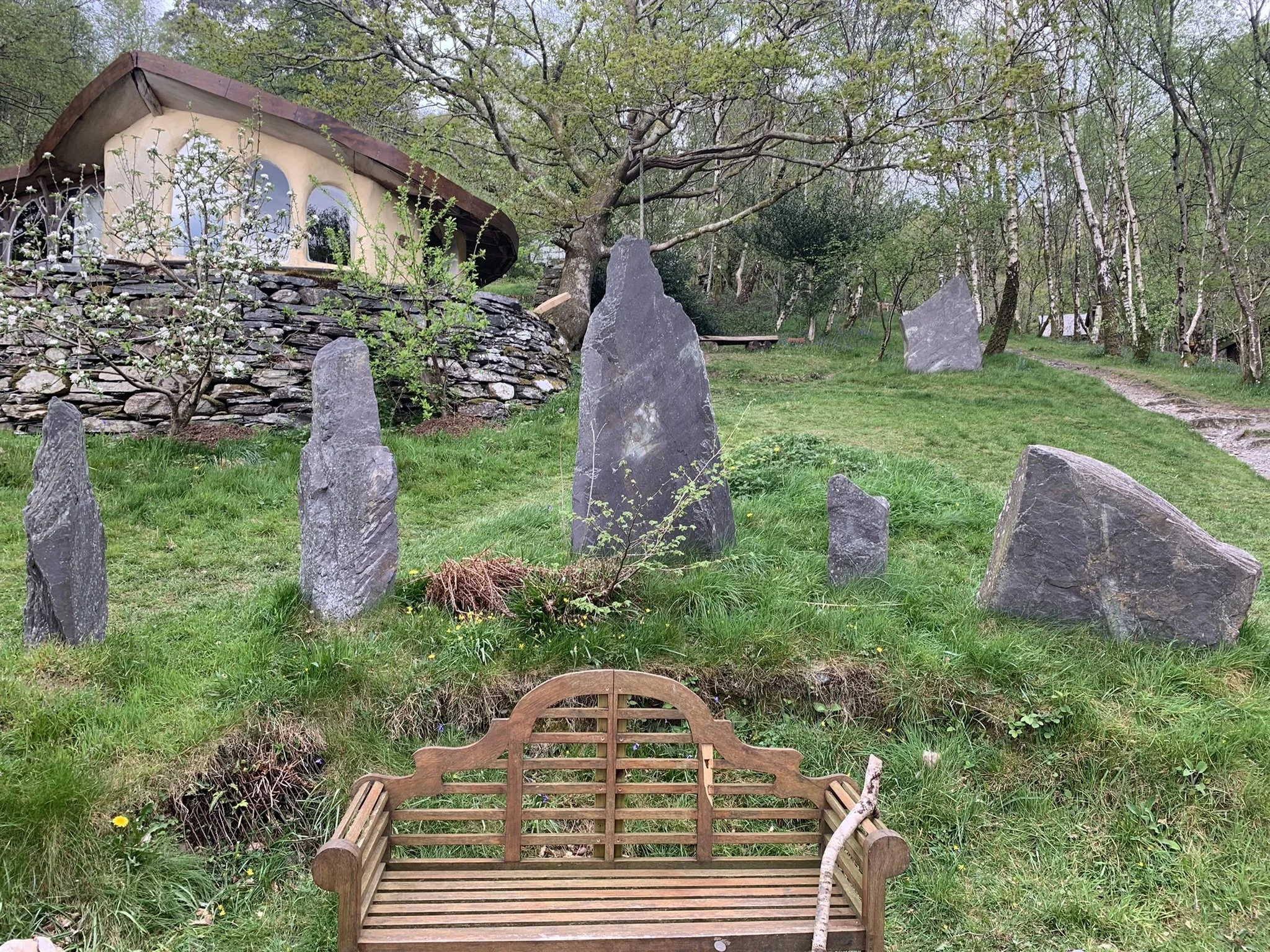 Copy of IMG_5913.JPEG