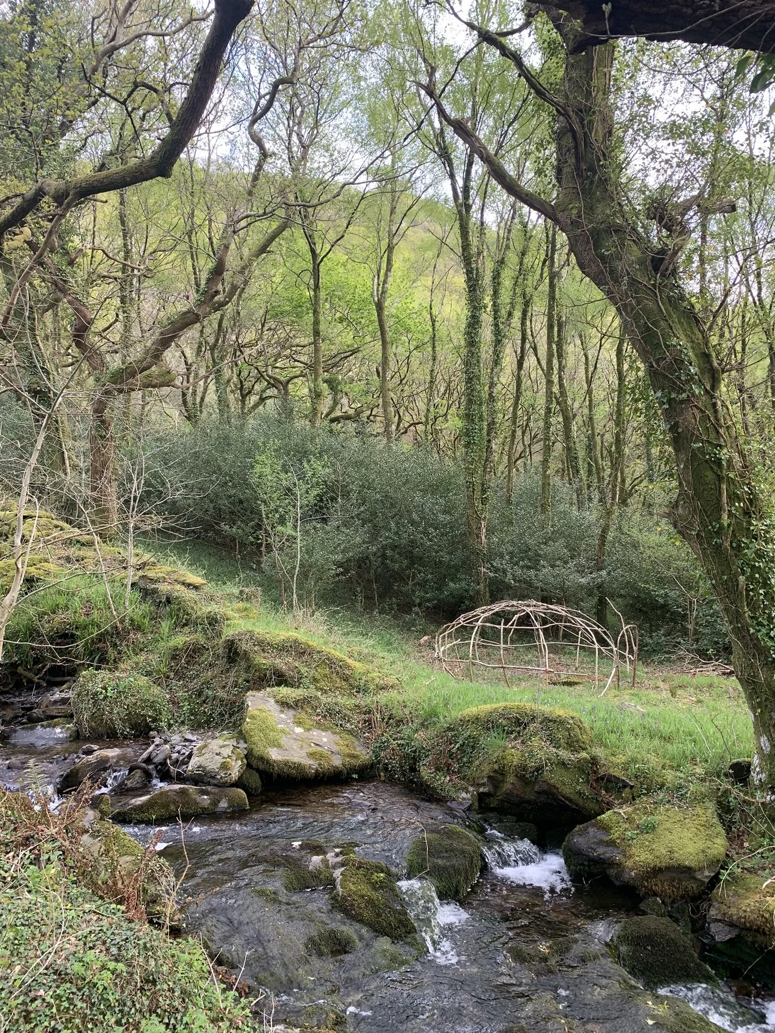 Copy of IMG_5926.JPEG