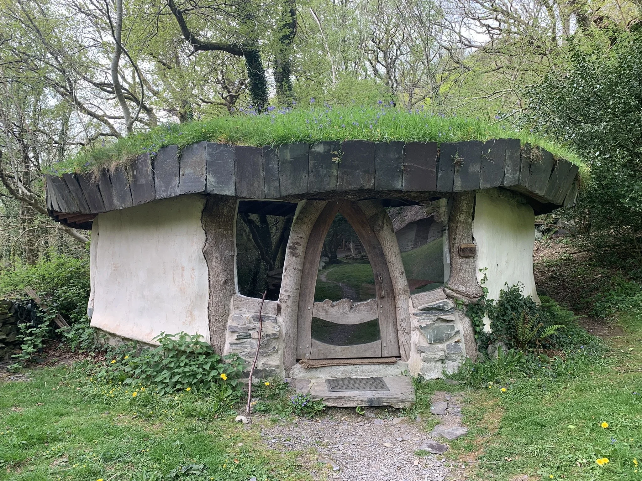 Copy of IMG_5919.JPEG