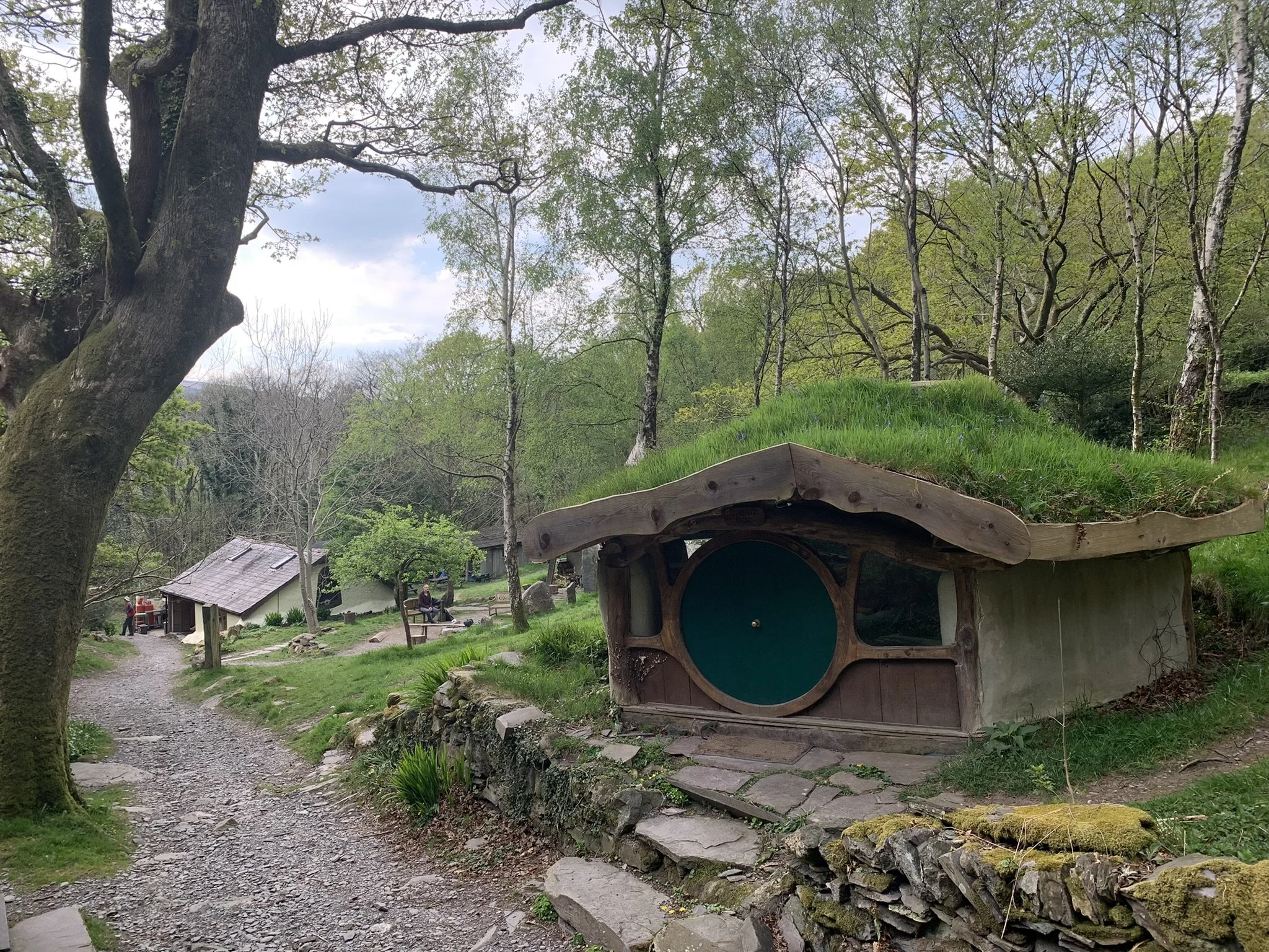 Copy of IMG_5923.JPEG