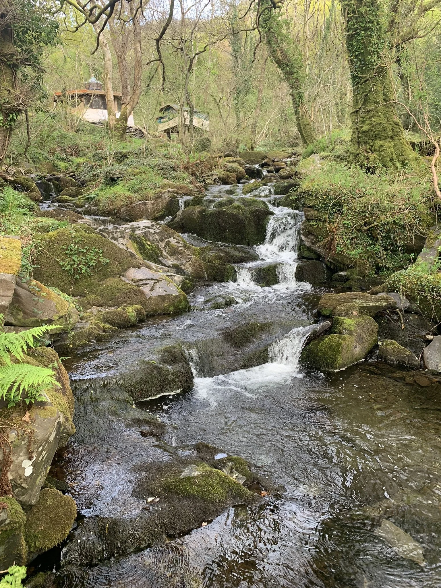 Copy of IMG_5924.JPEG