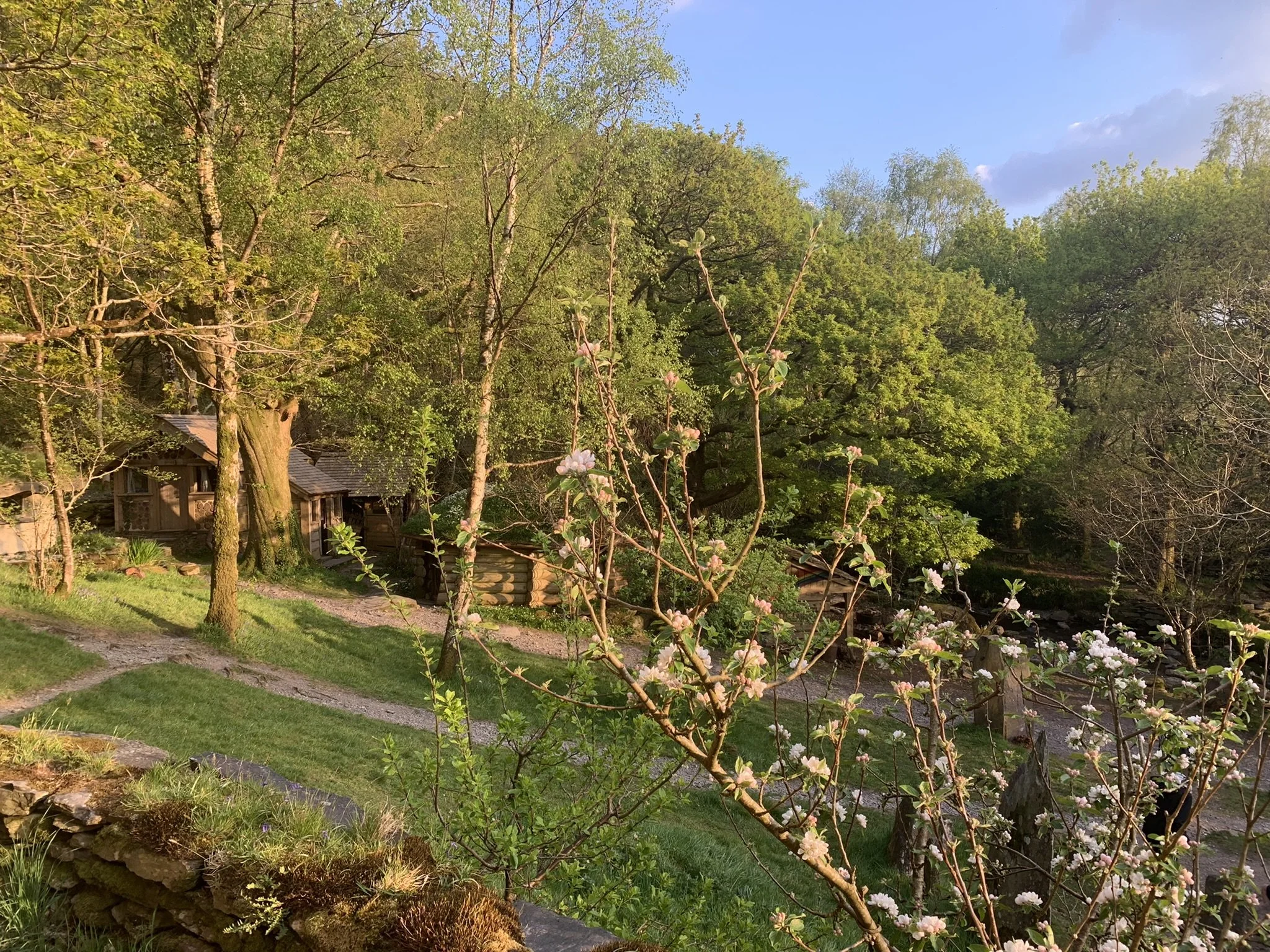 Copy of IMG_5930.JPEG