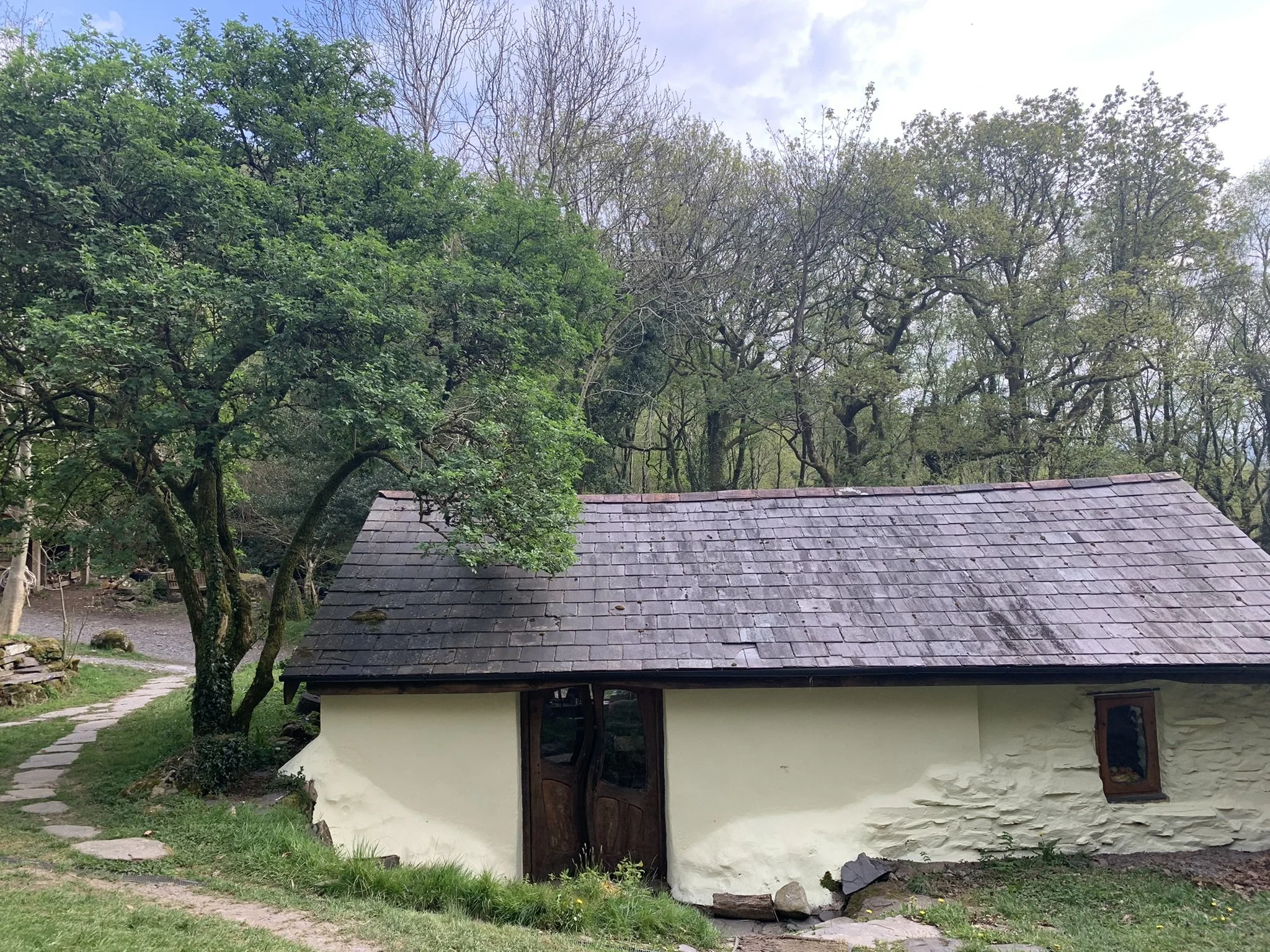 Copy of IMG_5920.JPEG