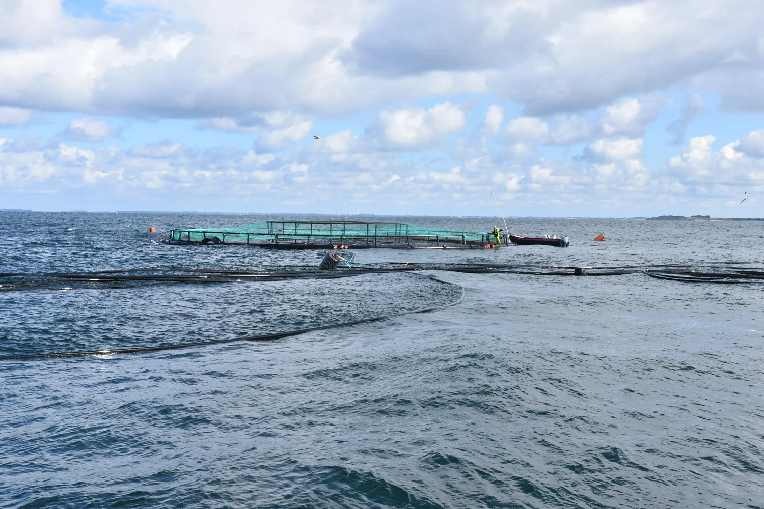 A Musholm sea farm pen in the Great Belt under a cloudy sky