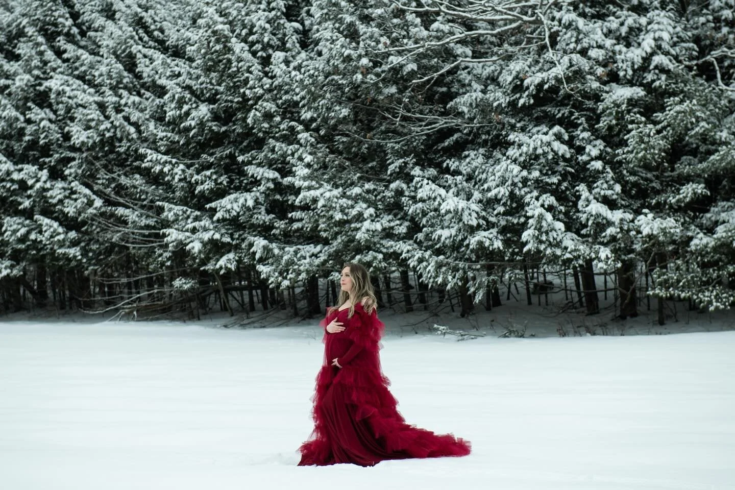 Winter wonderland Maternity Session 💙