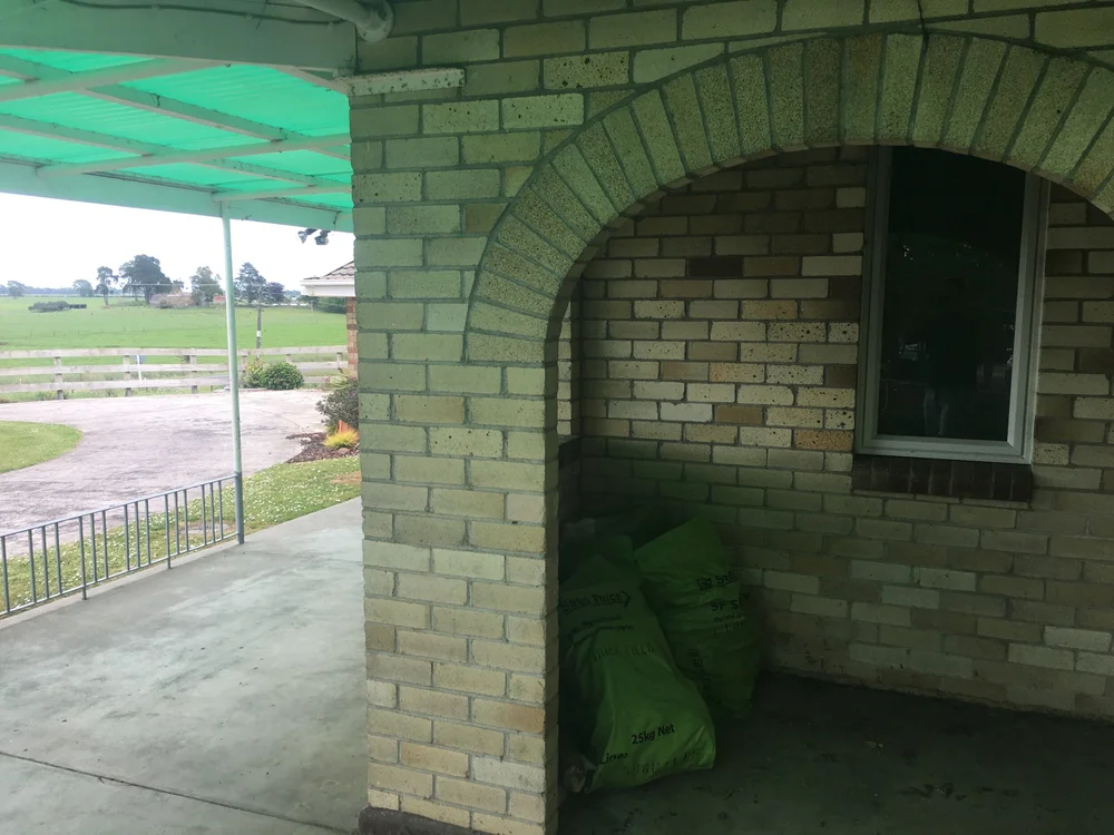 IMG_0347.jpeg