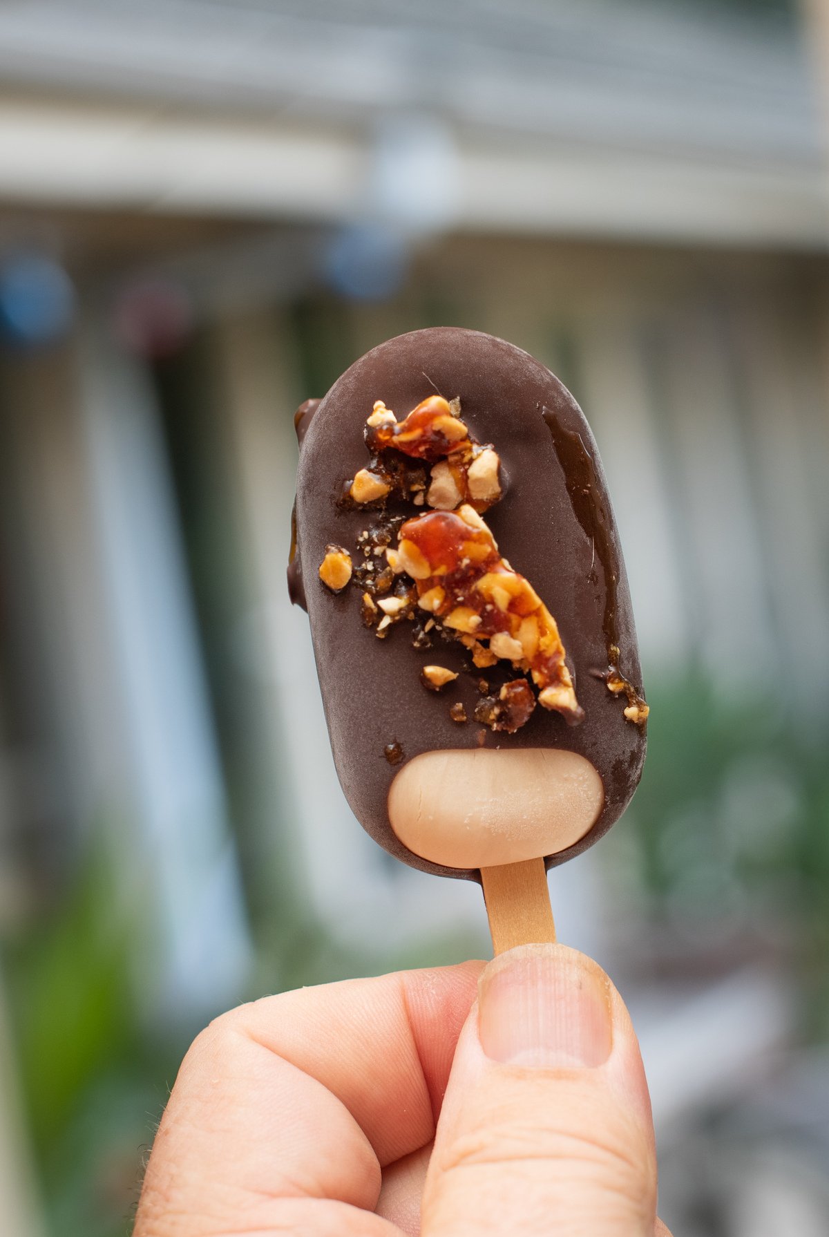 Tiny Ice Cream Treats - Port Melbourne Paletas — Bite