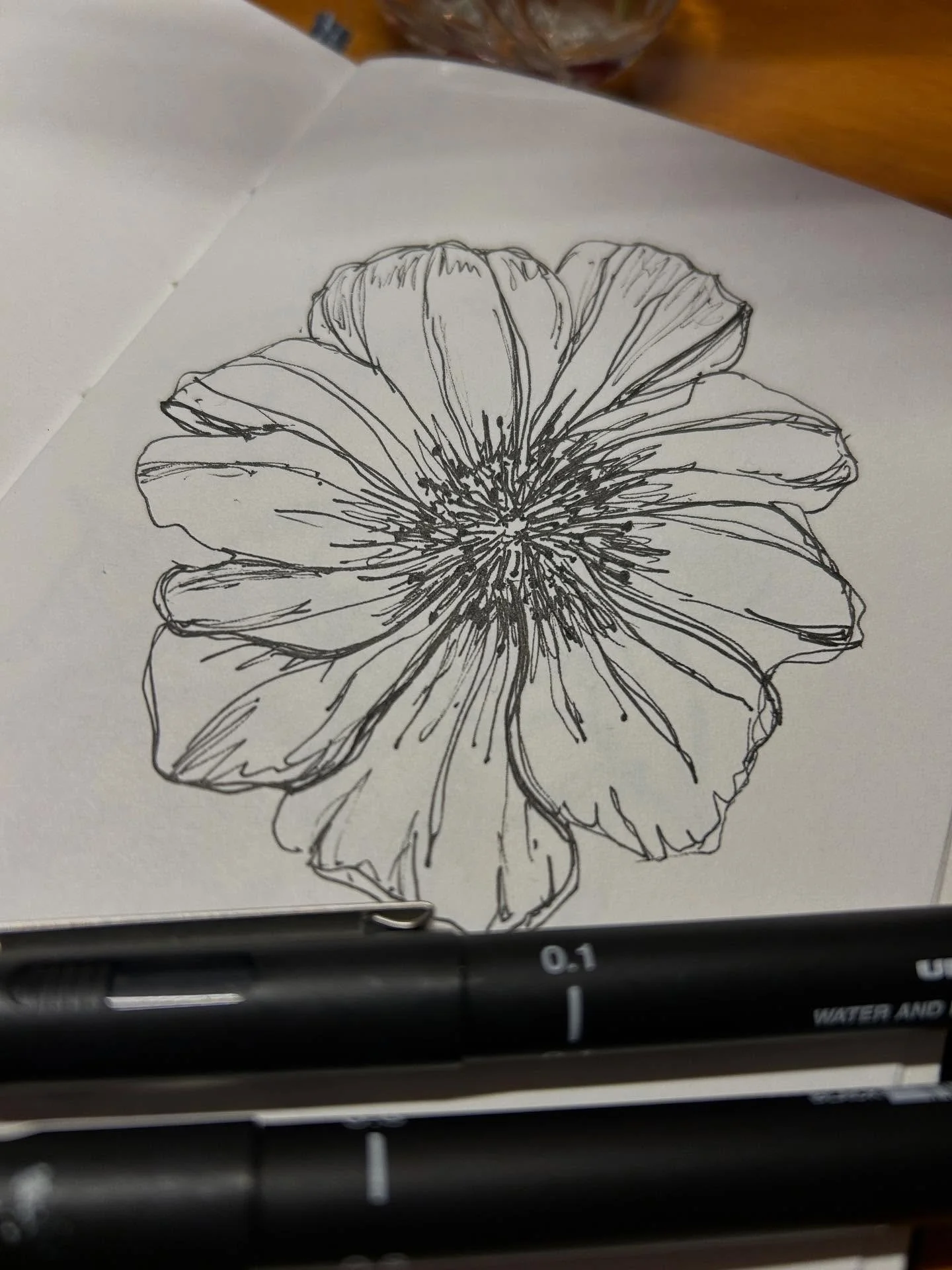 It&rsquo;s been a grey old day in Dorset and I had hours of admin to do&hellip;. To balance out the screen time, I finished my working day by drawing one of these gorgeous Cosmos daisies from the garden, which I rescued from the torrential rain&helli