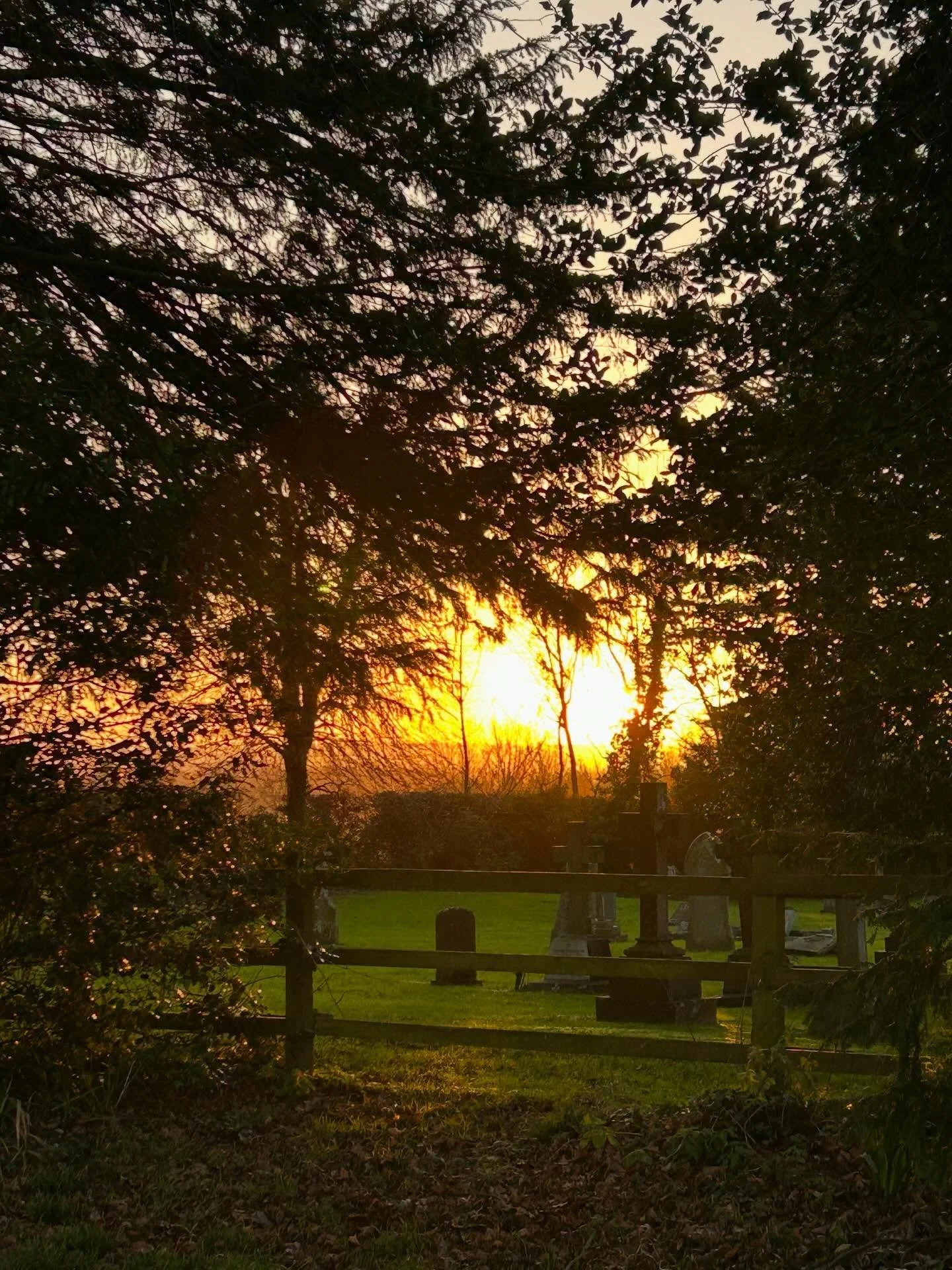 I&rsquo;ve had some stunning walks over the Christmas break. So grateful to live in such a beautiful part of the world and be able to draw inspiration from nature. 
@maisievstudios 
#dorset #dorsetartist #dorsetbusiness #sunshine #biophilia #biophili