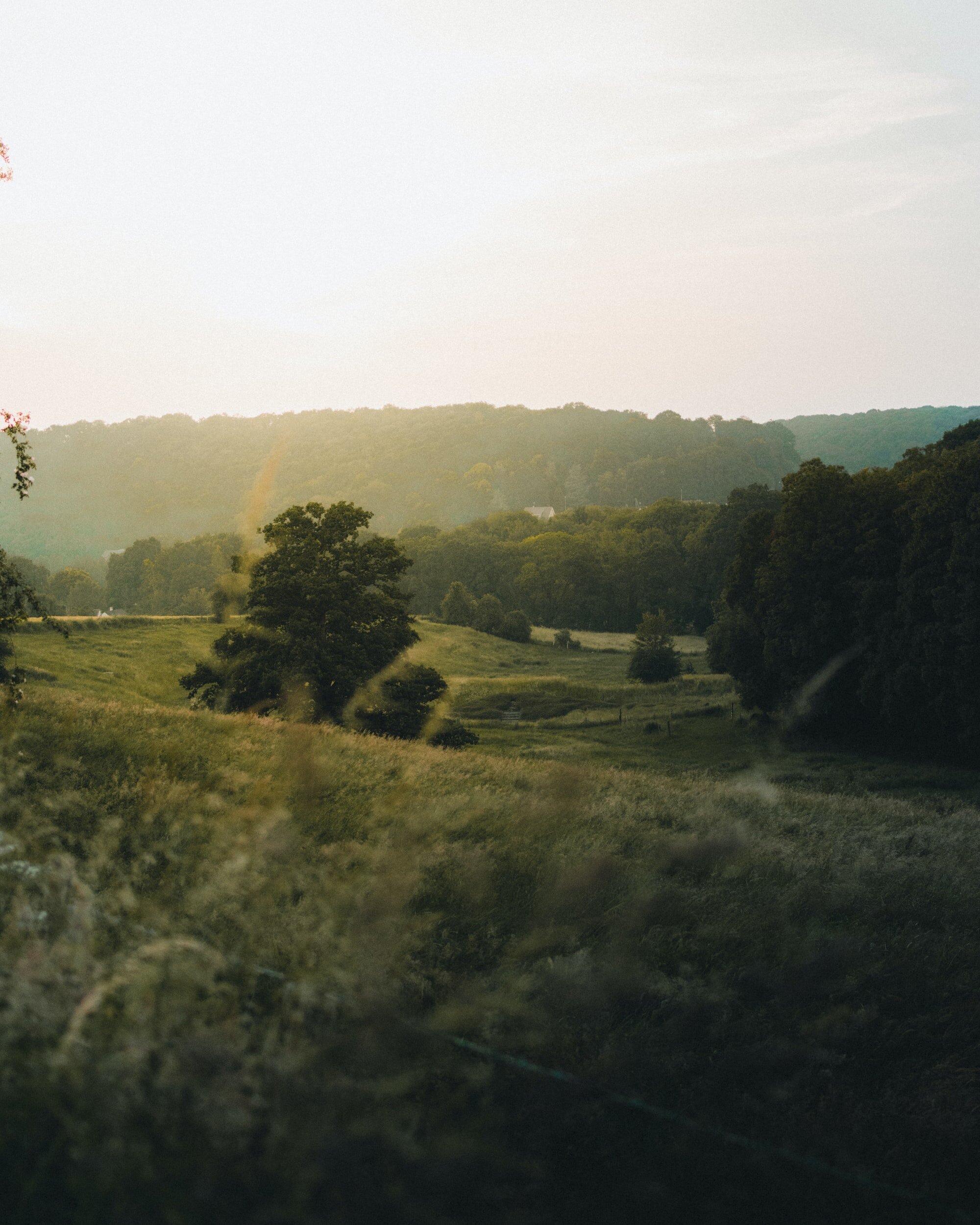 unsplash-image-_NAwOXcyxFk.jpg
