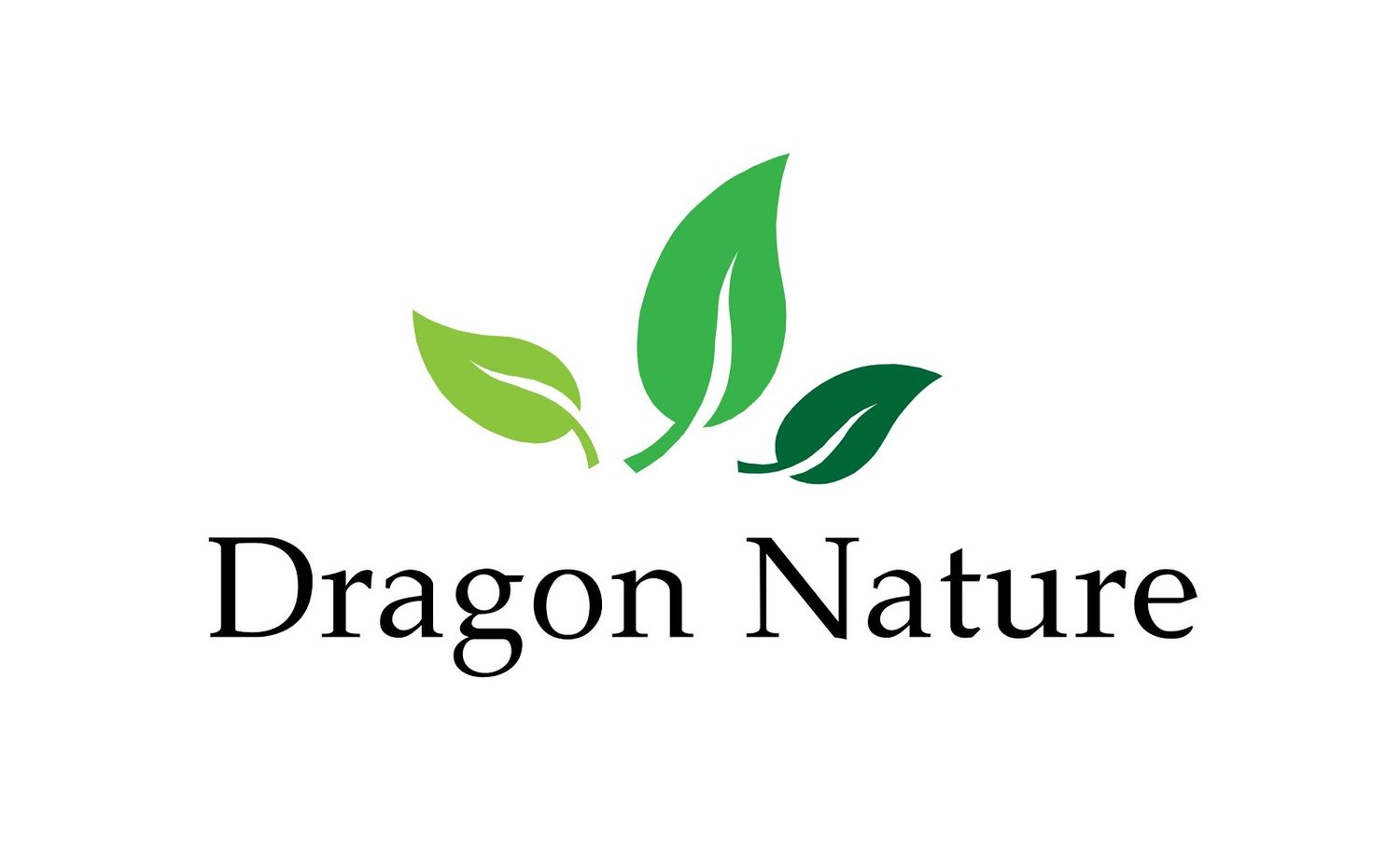 Dragon Nature AS