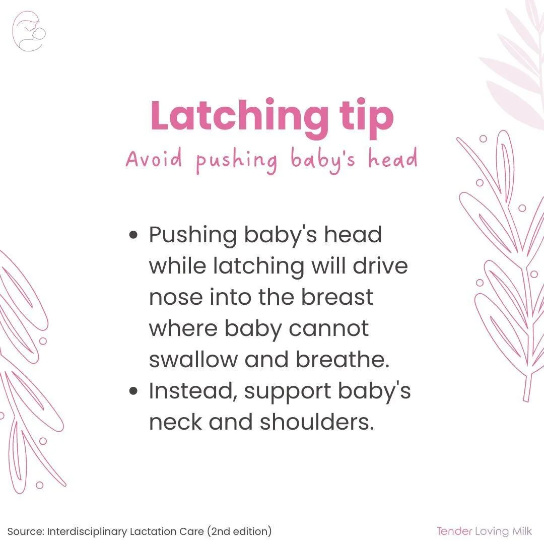 Hands away from baby's head!⁣
⁣
👋🏻Support baby's head by using the pad of your fingers to hold baby's hard bone behind the ear.⁣
⁣
Follow @tenderlovingmilk for more FREE breastfeeding tips 🤱⁣
⁣
#tenderlovingmilk #lactationconsultant #ibclc #breast
