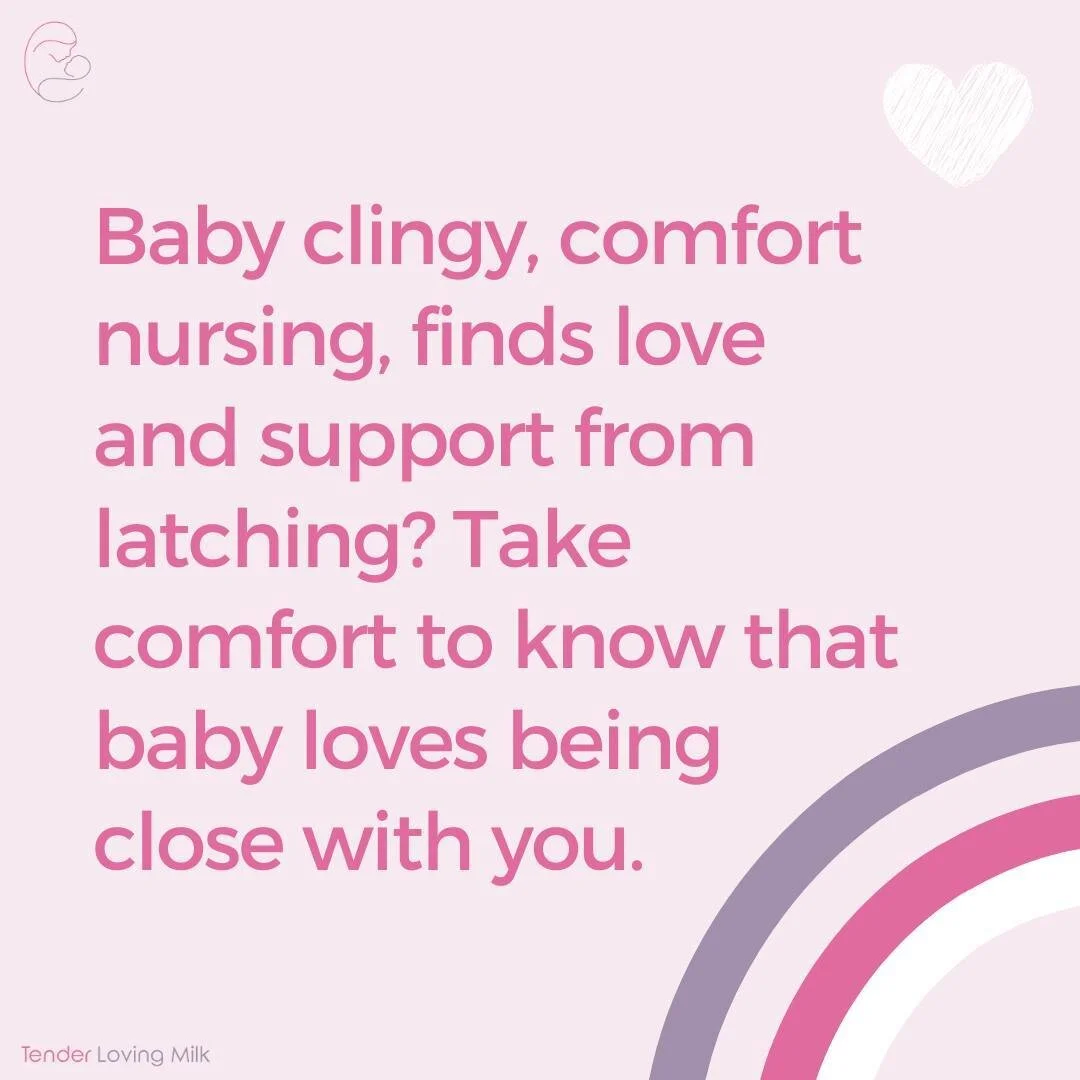 Follow your child's lead for an enjoyable breastfeeding relationship 🤱🏻⁣
⁣
Follow @tenderlovingmilk for all things breastfeeding 🤱⁣
⁣
#tenderlovingmilk #lactationconsultant #ibclc #breastfeedingmoms #singaporeparents #sgparent #breastfeedingmom #b