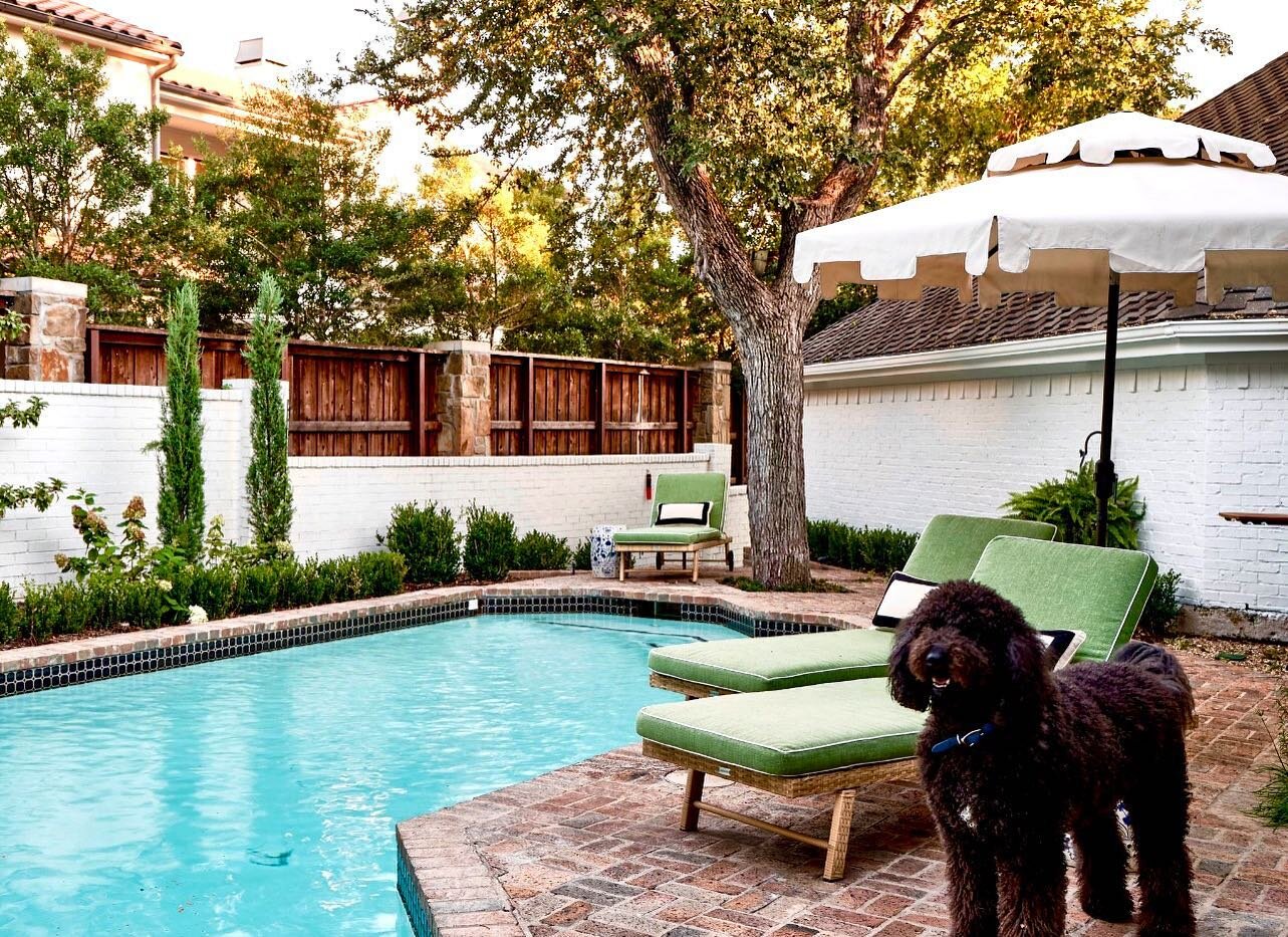 George is ready for spring and so is his mom! .
.
.
,
#spring #summer #warmday #pool #backyard #interiordesign #design #designer #furnituredesign #palmbeach