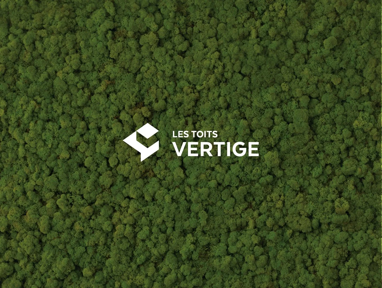 logo-toits-vertige-1.jpg