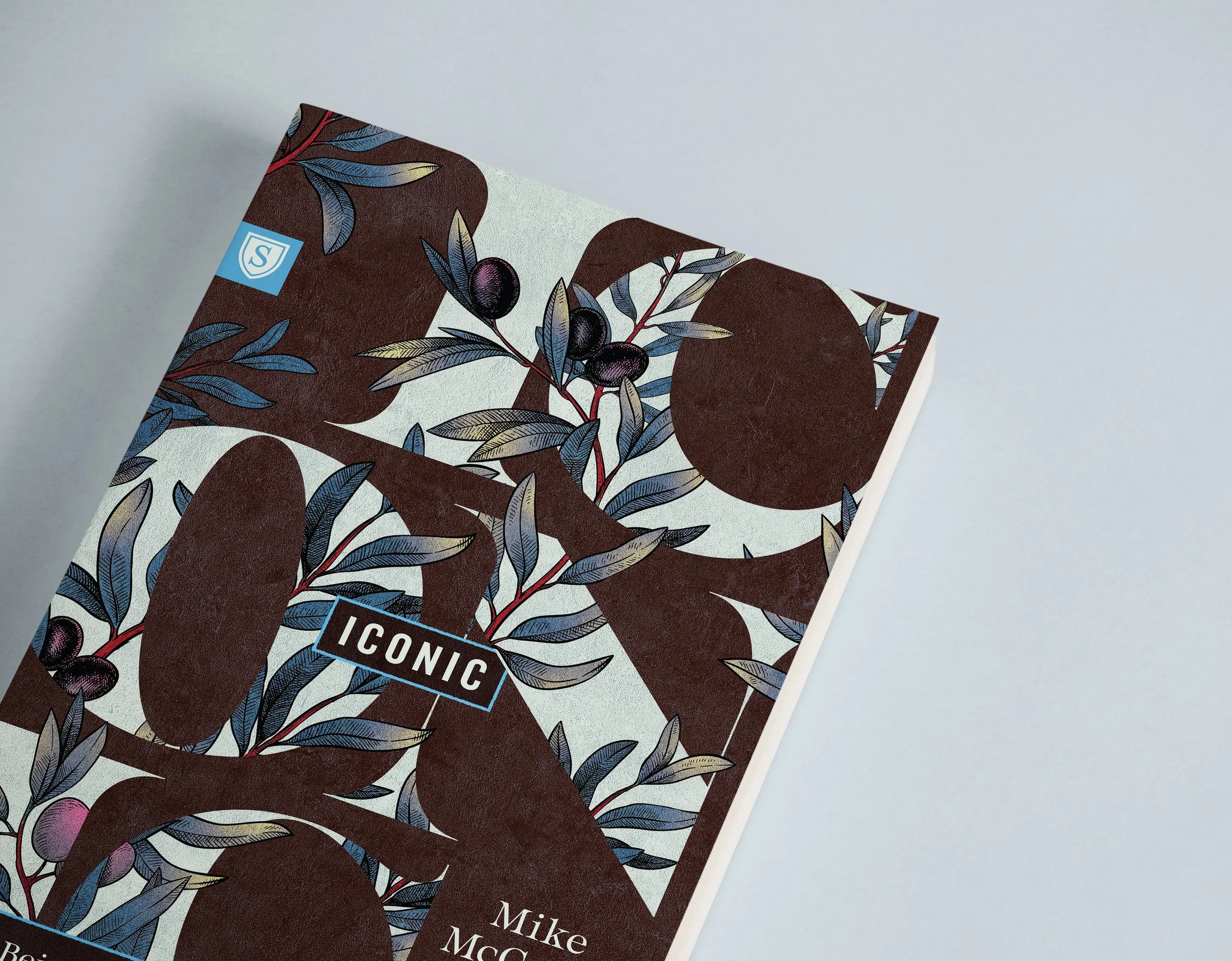 What Does it Mean to be Iconic?