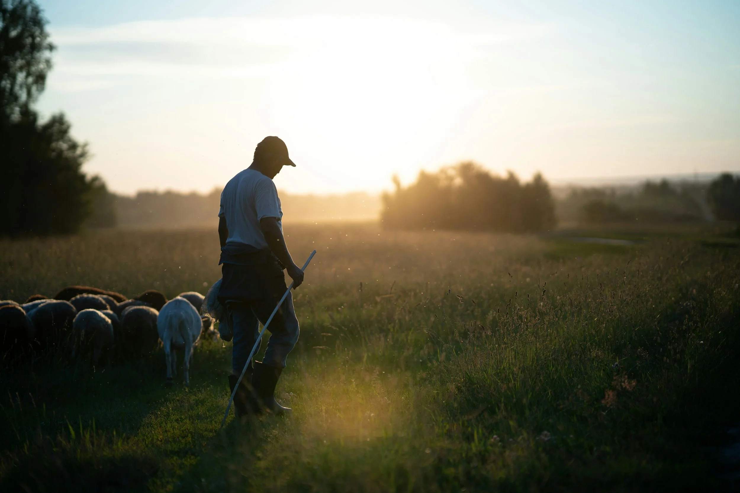 Youth Pastor as Shepherd
