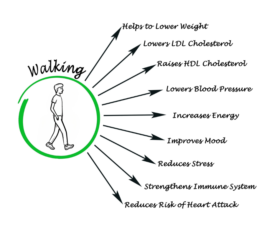 What are the healthiest ways to get and stay lean? — Adventure Driven ...