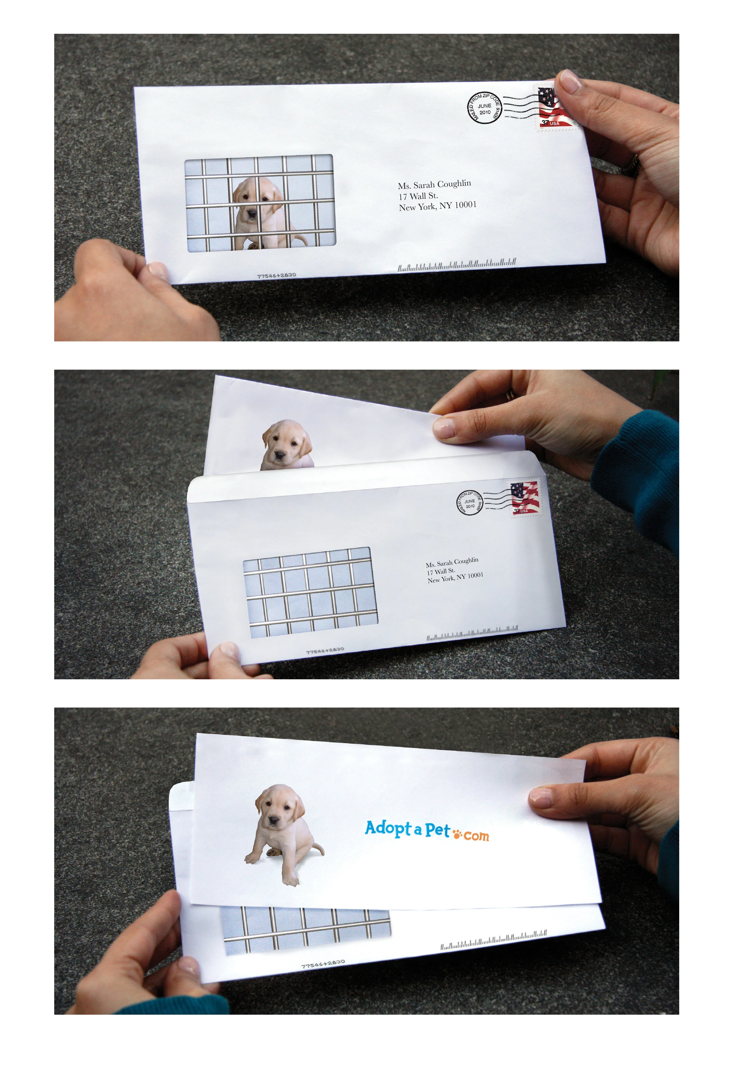 ADOPT_final_1.jpg