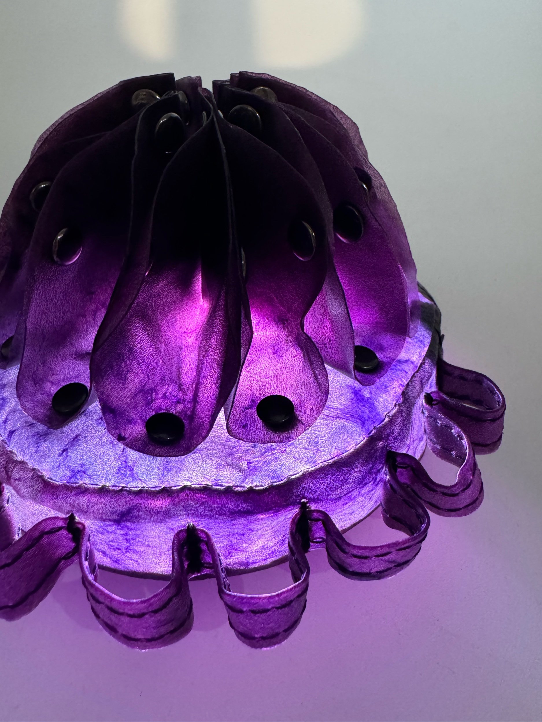 3F079D52-14C9-44E0-8AE1-35202102AA24.jpeg