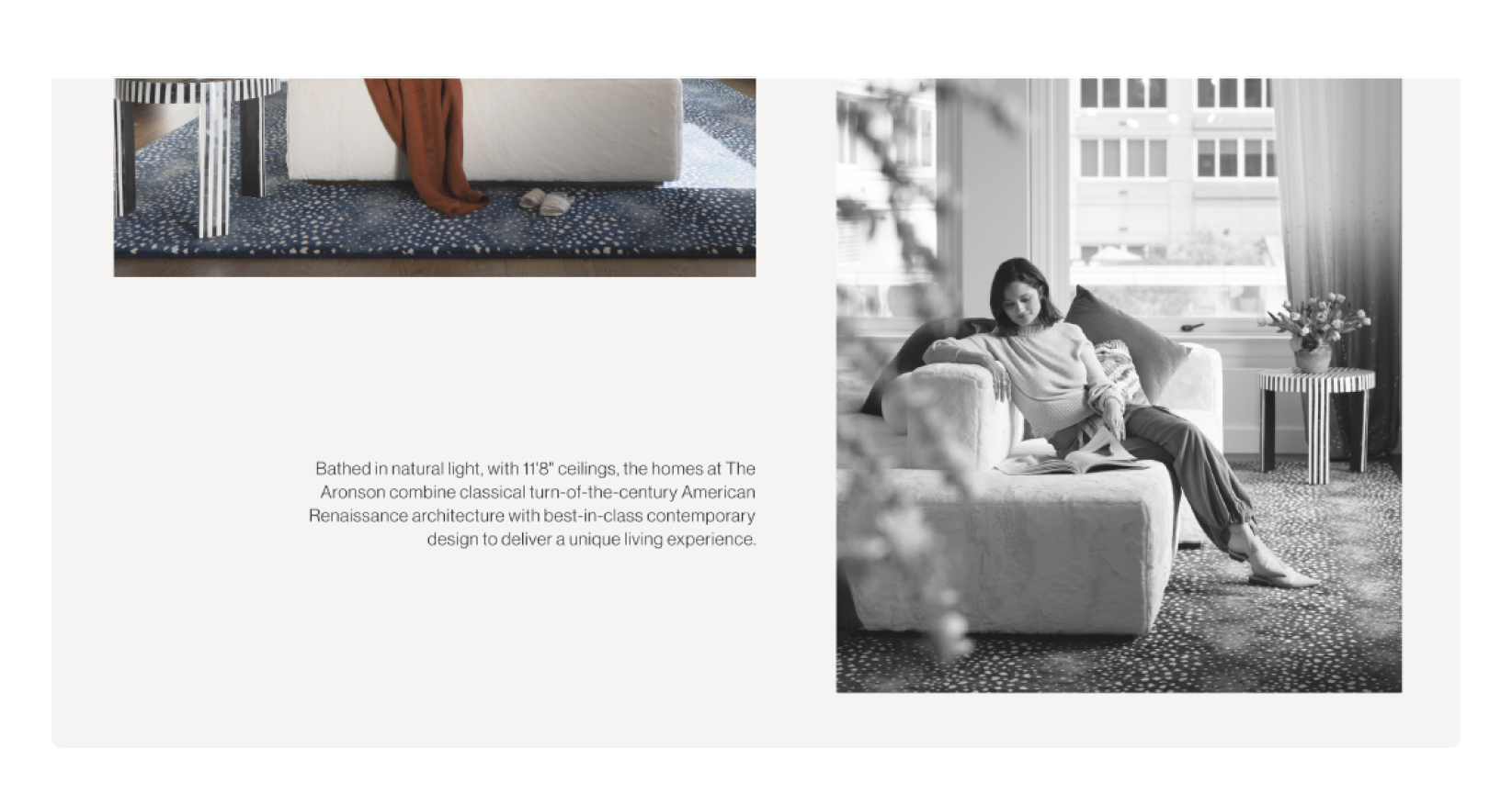 web-template5.png