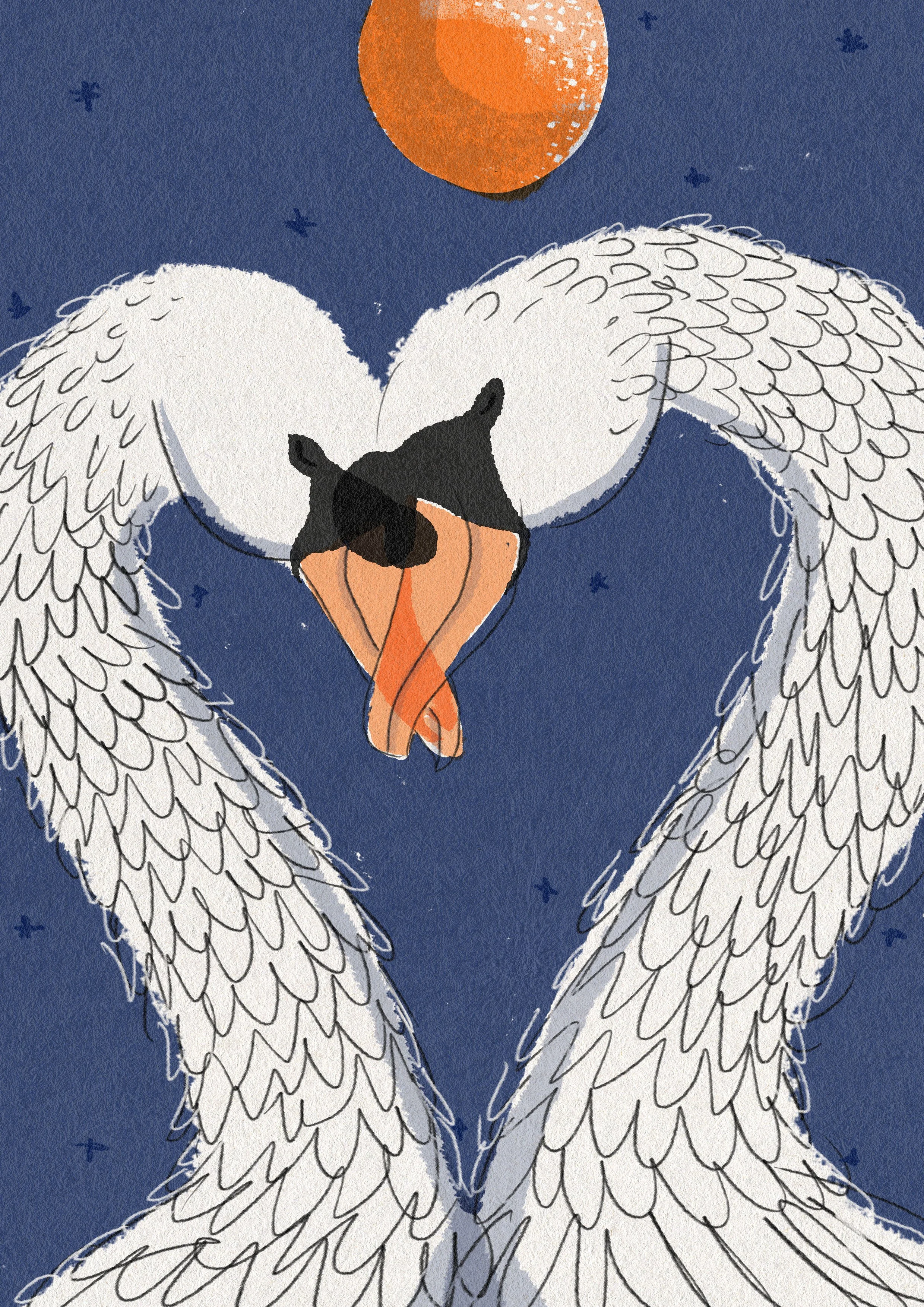 illustration of white swan art print by clare davis