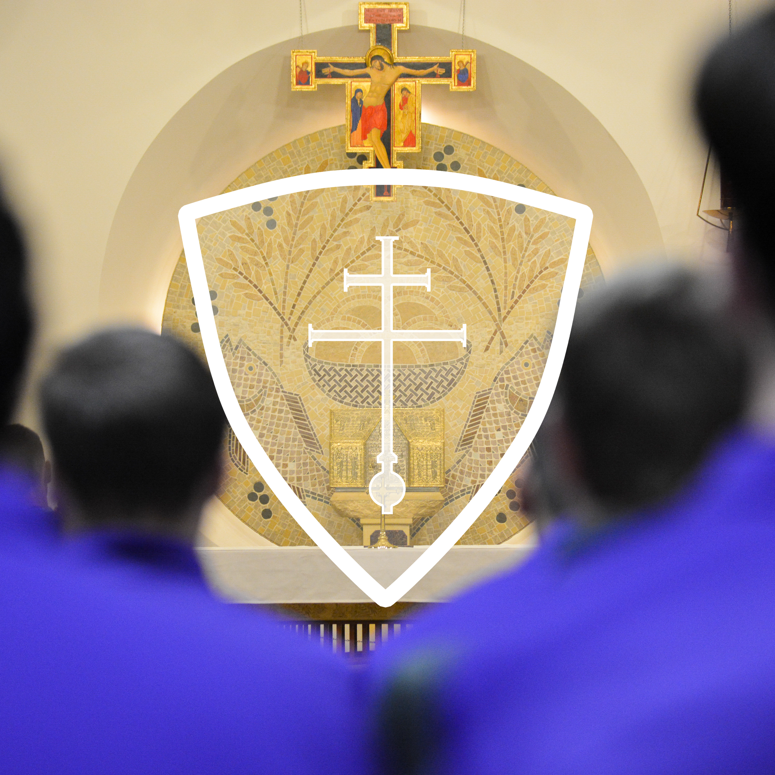 SJV Profile Picture_2.png