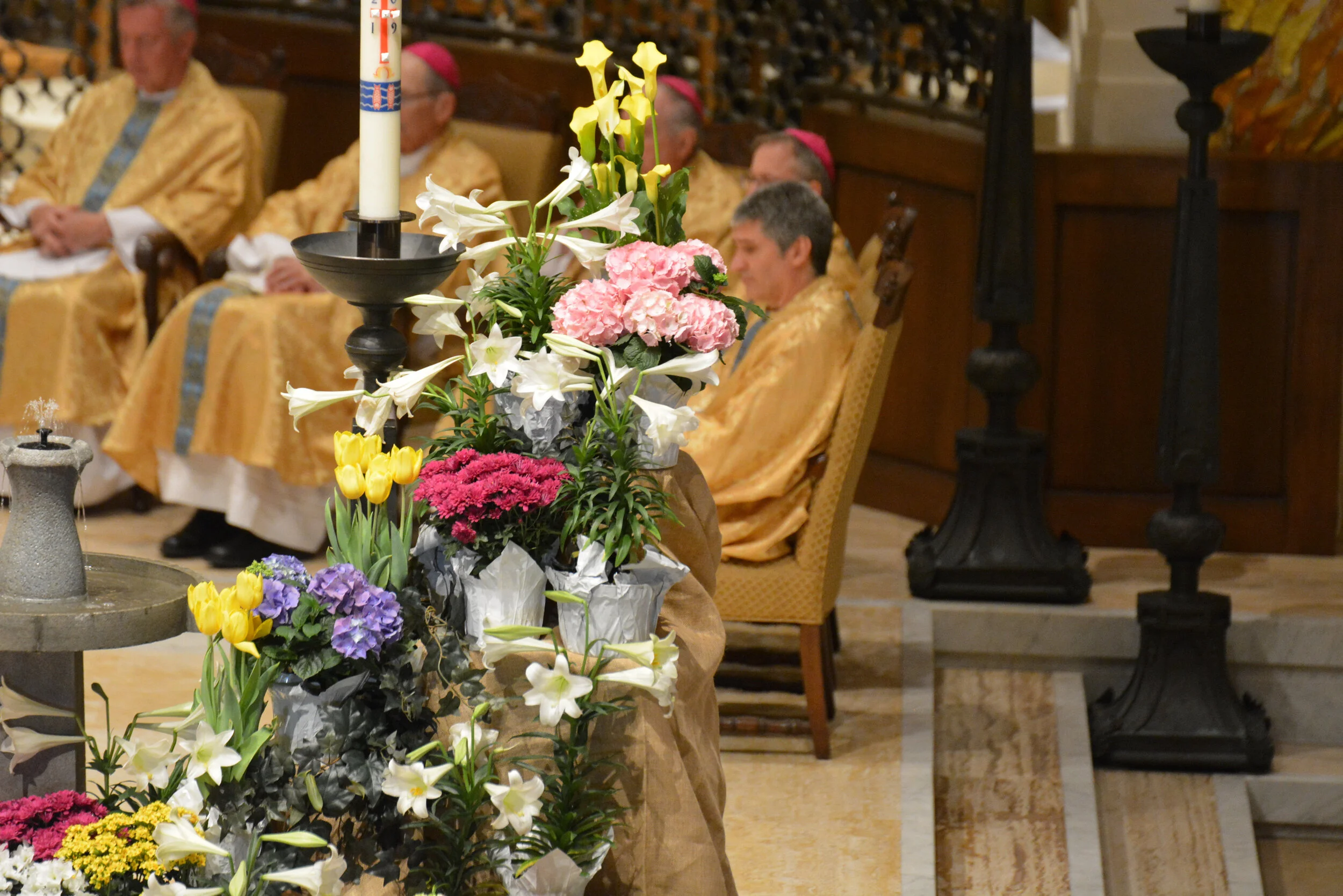 (2019.04.29) SJV 50th Anniversary - 42.jpeg