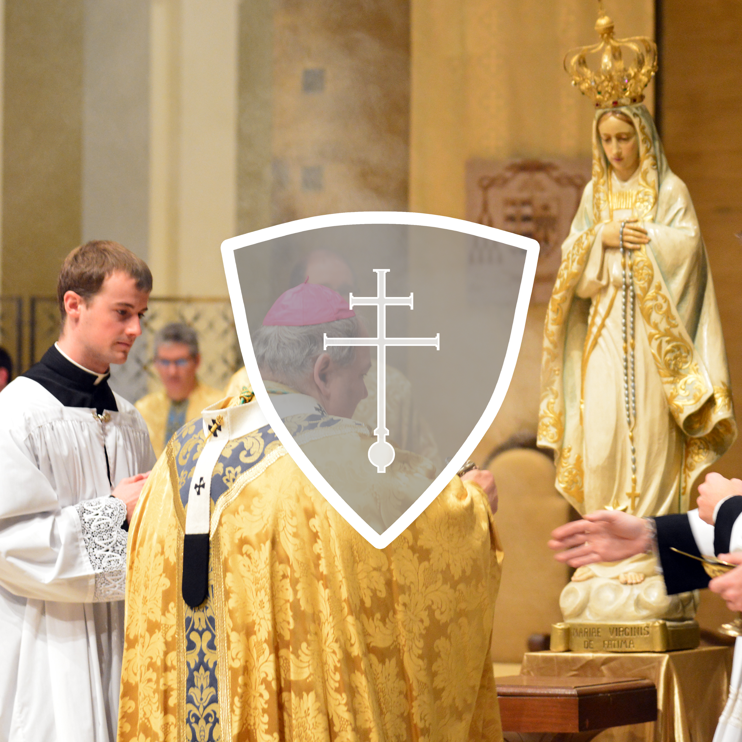 SJV Profile Picture_3 (Mary 2020).png