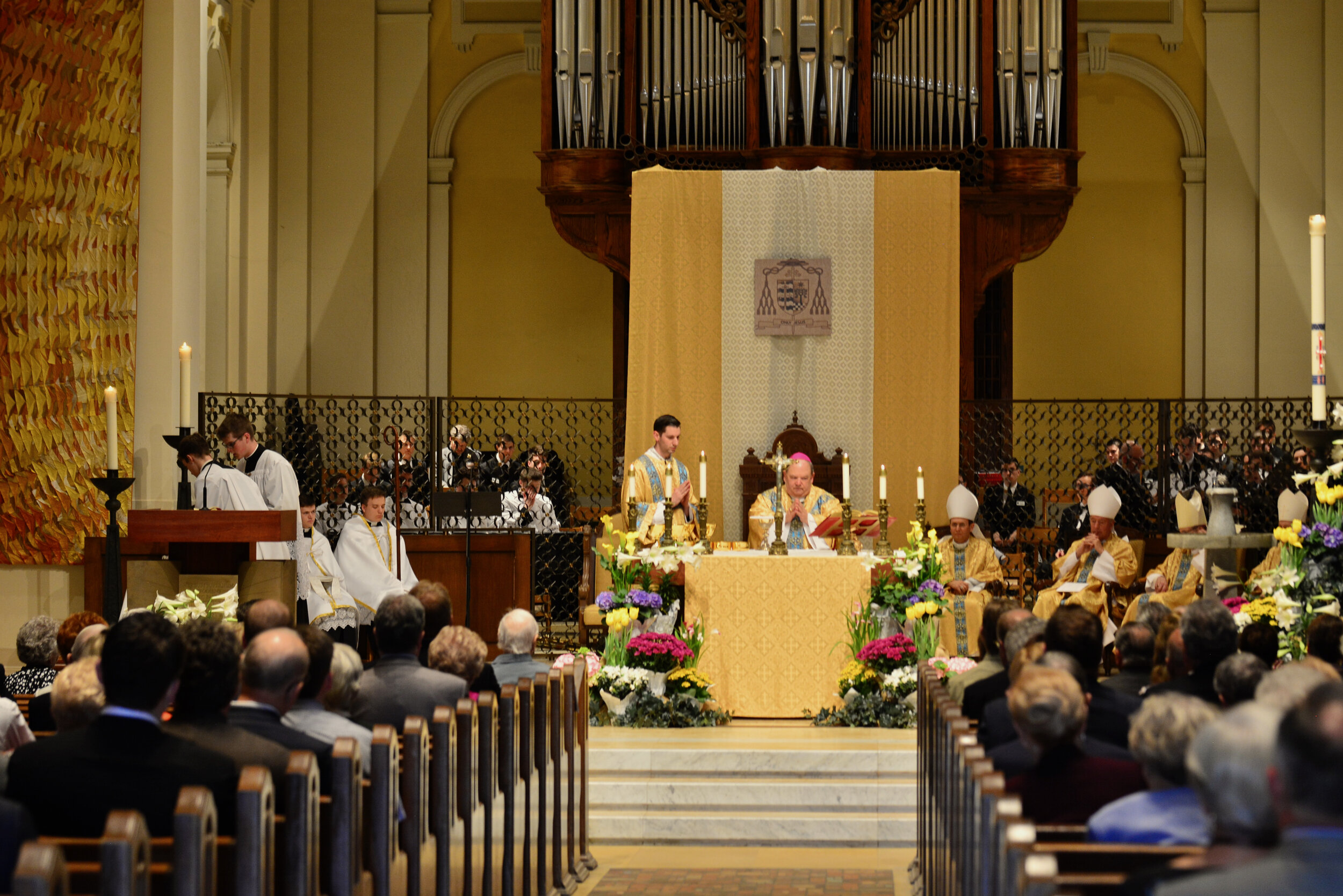 (2019.04.29) SJV 50th Anniversary - 47.jpeg